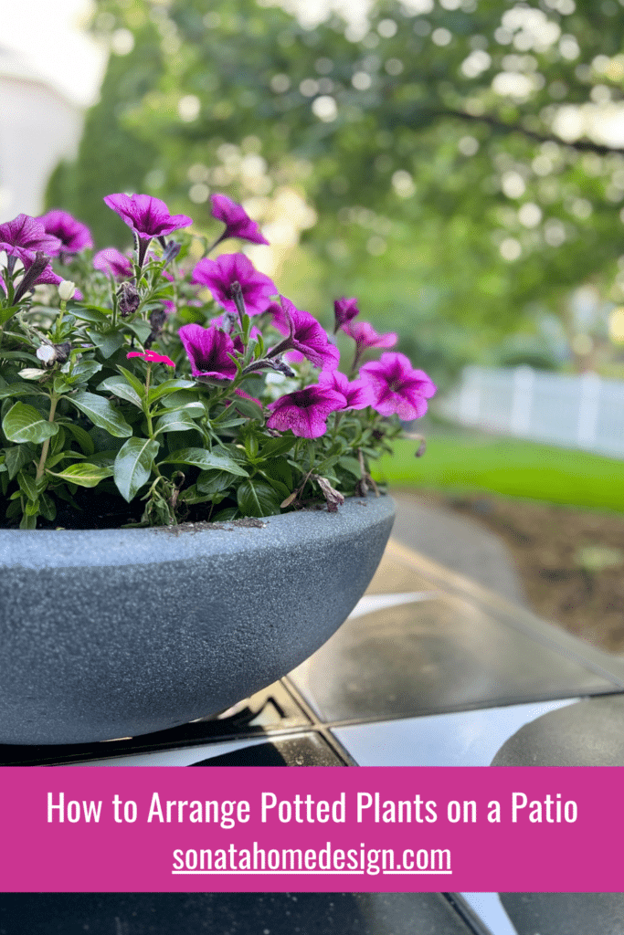 How to Arrange Potted Plants on the Patio