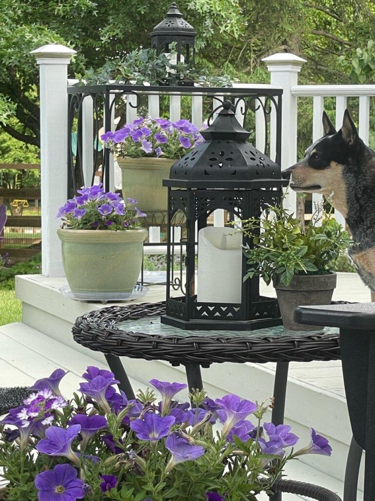 Three pots of purple flowers are the perfect example of displaying groups of three.