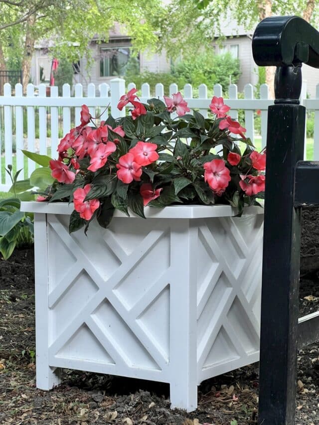 How to Arrange Potted Plants on a Patio