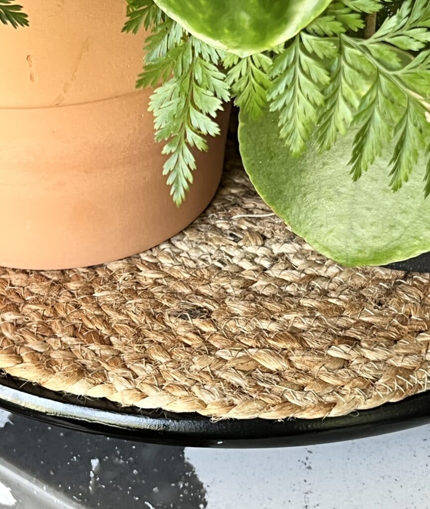A jute covered Lazy Susan that is covered with green plants.