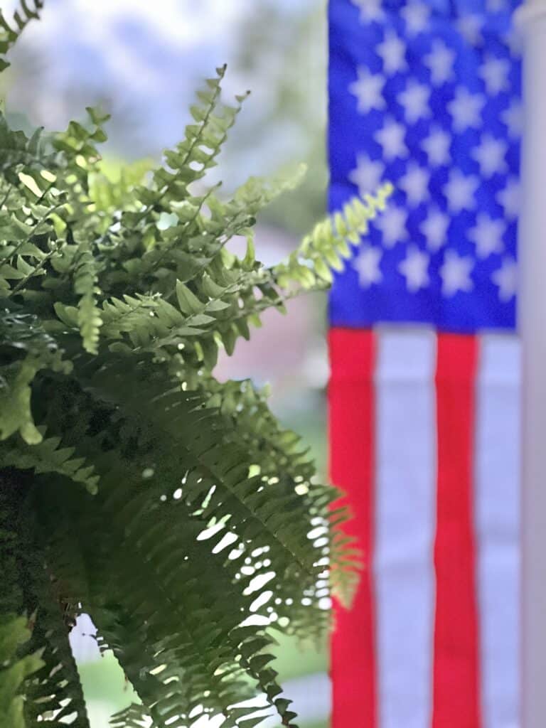 A shade loving hanging fern on a front porch with the American flag in the background.