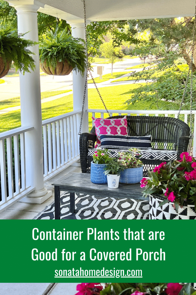 Container Plants that are good for a covered porch.
