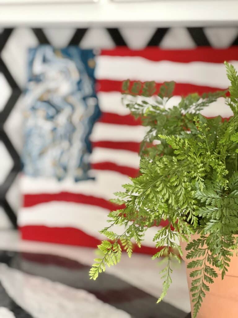 Peering through the leaves of a green fern plant to see the faint stars and stripes displayed in the kitchen.