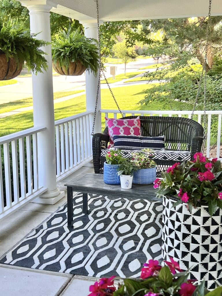 Our covered front porch is the home for plants that have found good light.