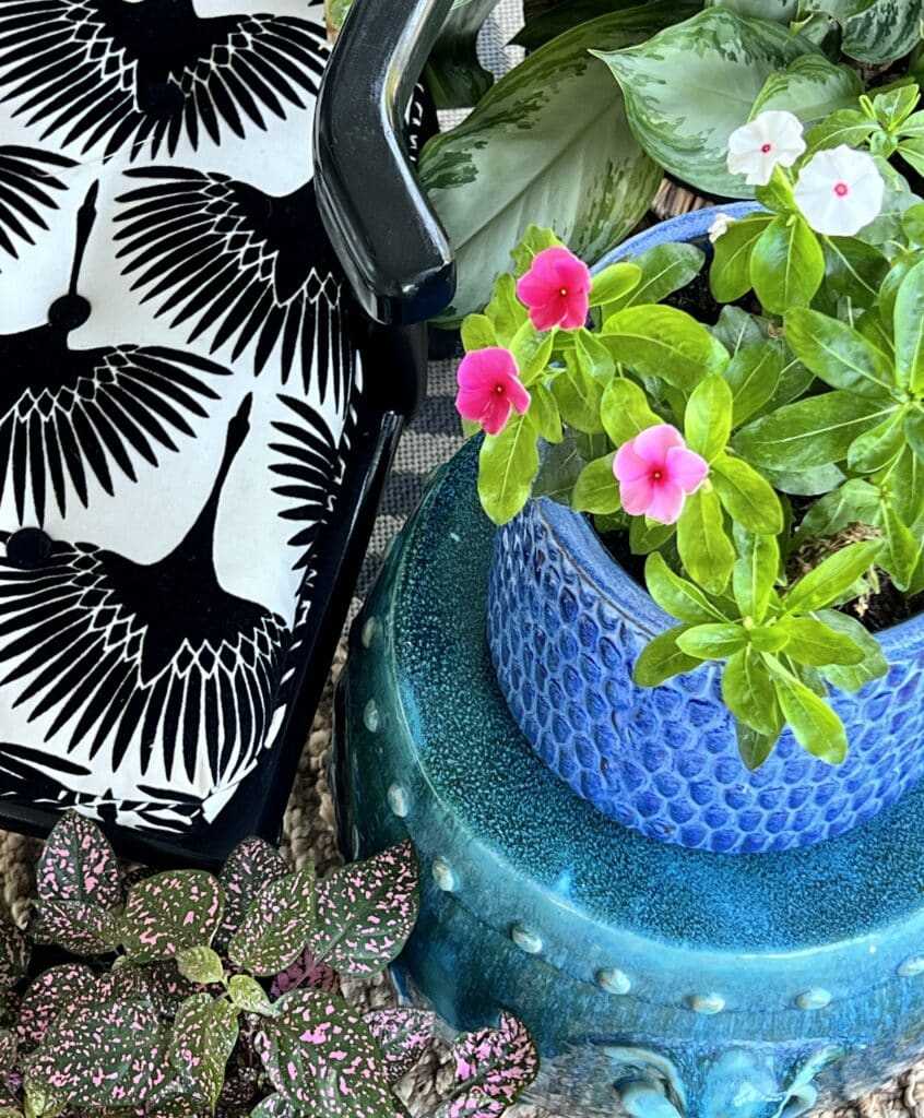 Plants good for a covered porch: Pink and white vinca are planted in a blue porch and sit on a side table on the covered porch.