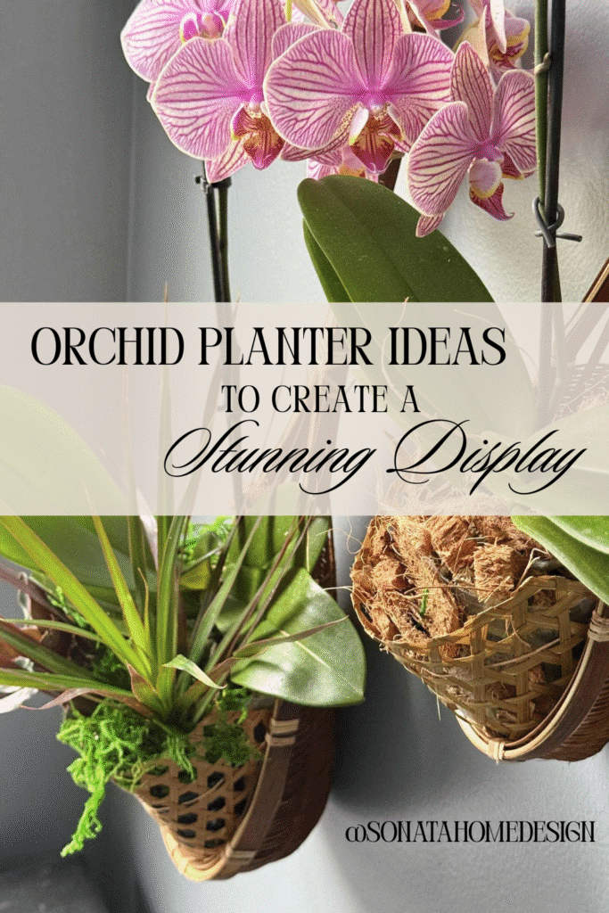 Orchid planter ideas hanging on the wall.