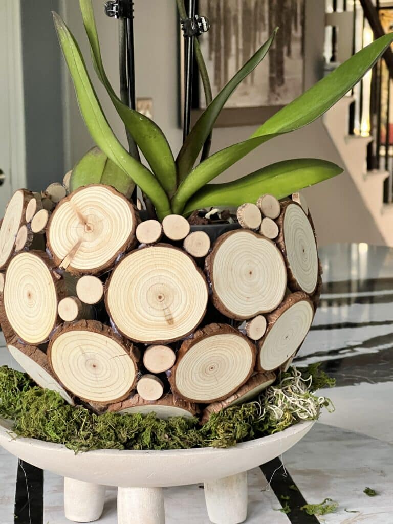 Wood slices blued together to create a DIY orchid planter bowl.