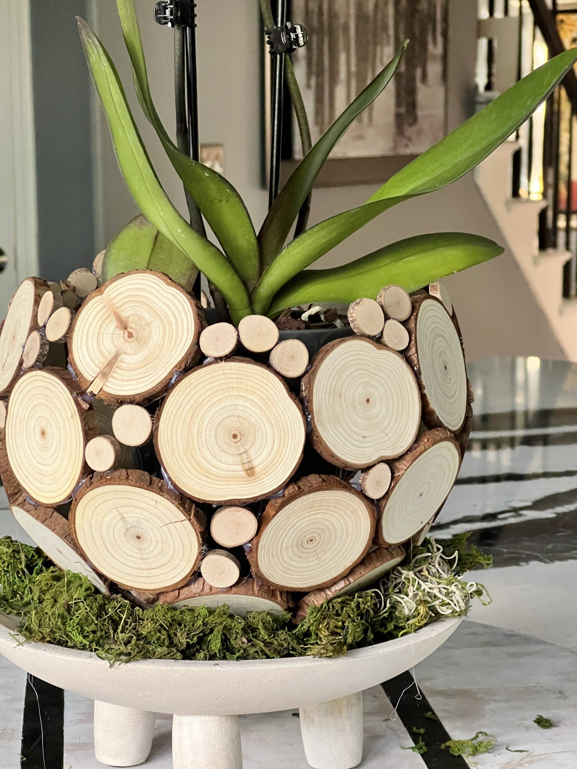 Easy Diy Orchid Planter Ideas