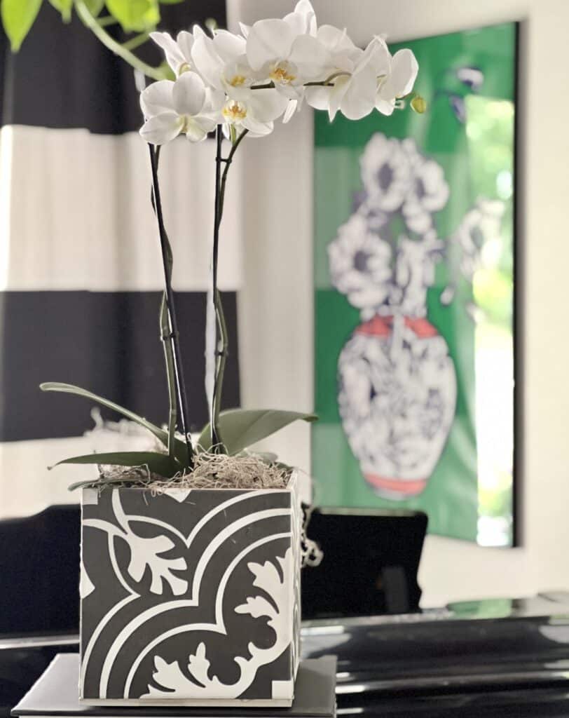 DIY orchid planter ideas: A white orchid planted in a black and white DIY tile planter box.