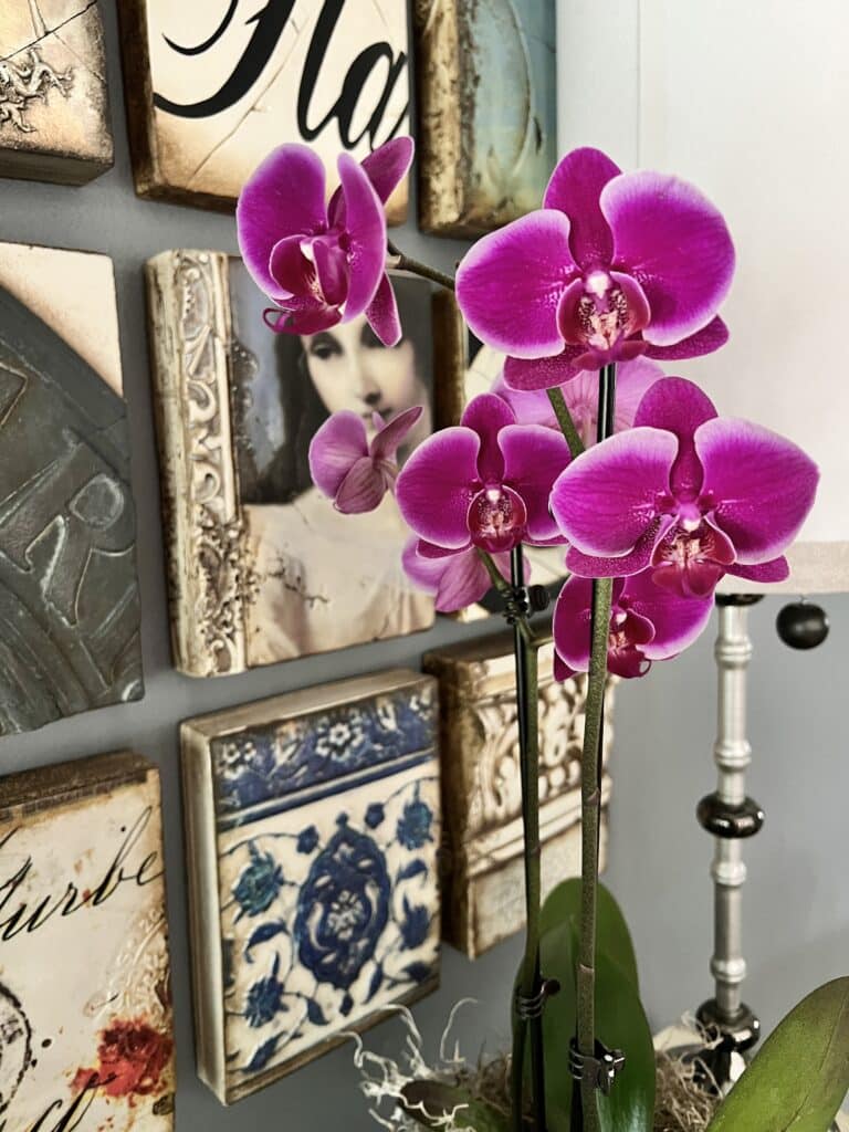 A purple orchid sitting on a console.