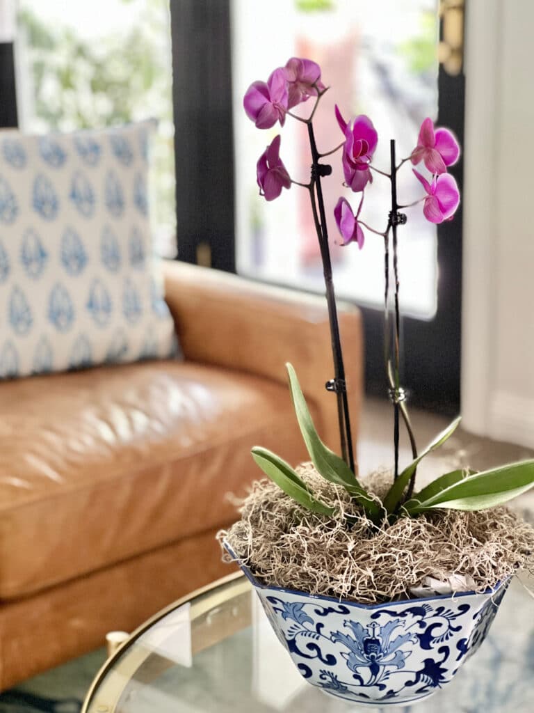 diy orchid planter ideas: A purple orchid arranged in a blue and white chinoiserie bowl.