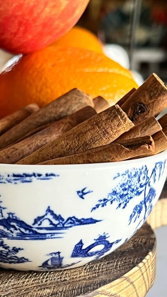 A blue and white bowl filled with cinnamon, cloves, and an orange.