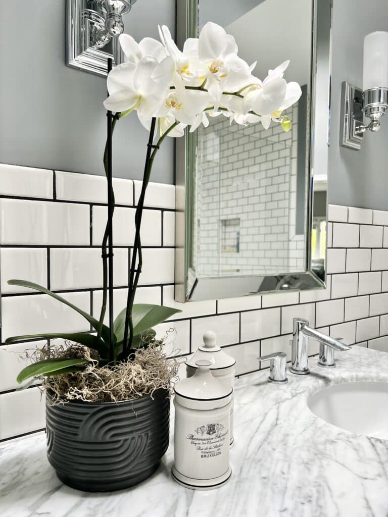 spa bath decorating ideas: an orchid plant on a bathroom countertop.