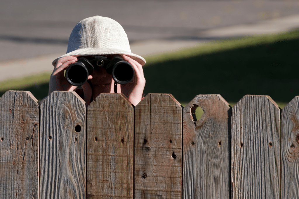 A neighbor peering over a fence with binoculars.