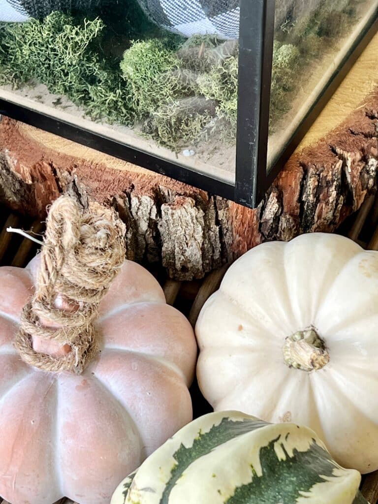 fall front porch decorating ideas on a budget: A lantern sitting on a wood tree slice.