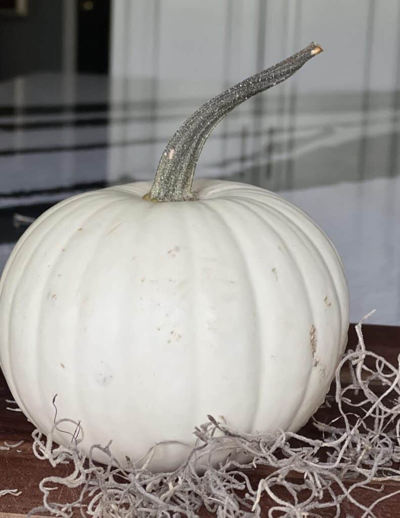 A white pumpkin for pumpkin floral arrangements.