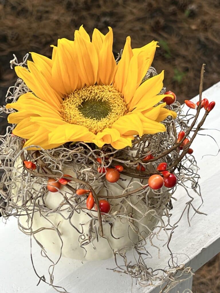 A large sunflower in  pumpkin floral arrangements.