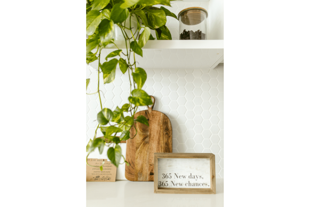 A green plant and cutting board displayed on open shelving in the kitchen.