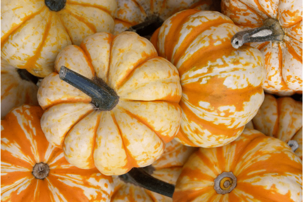Small pumpkins.
