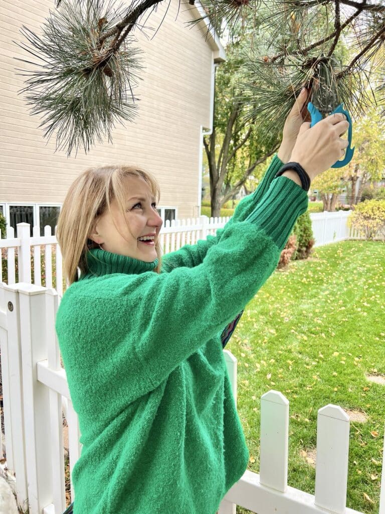 Missy clipping a pine bough from a tree in her back yard.