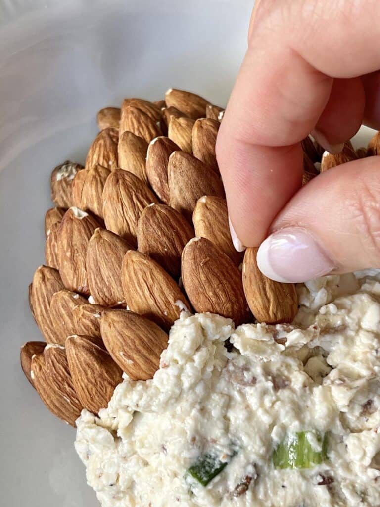 Creating rows in the holiday cheese ball with whole almonds.