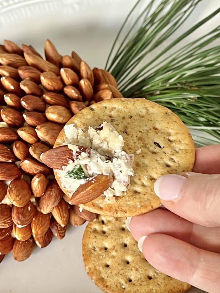 A cracker dipped into the holiday cheese ball recipe.