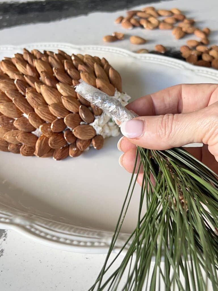 Placing the plastic wrapped pine bough underneath the holiday cheese ball recipe ball.