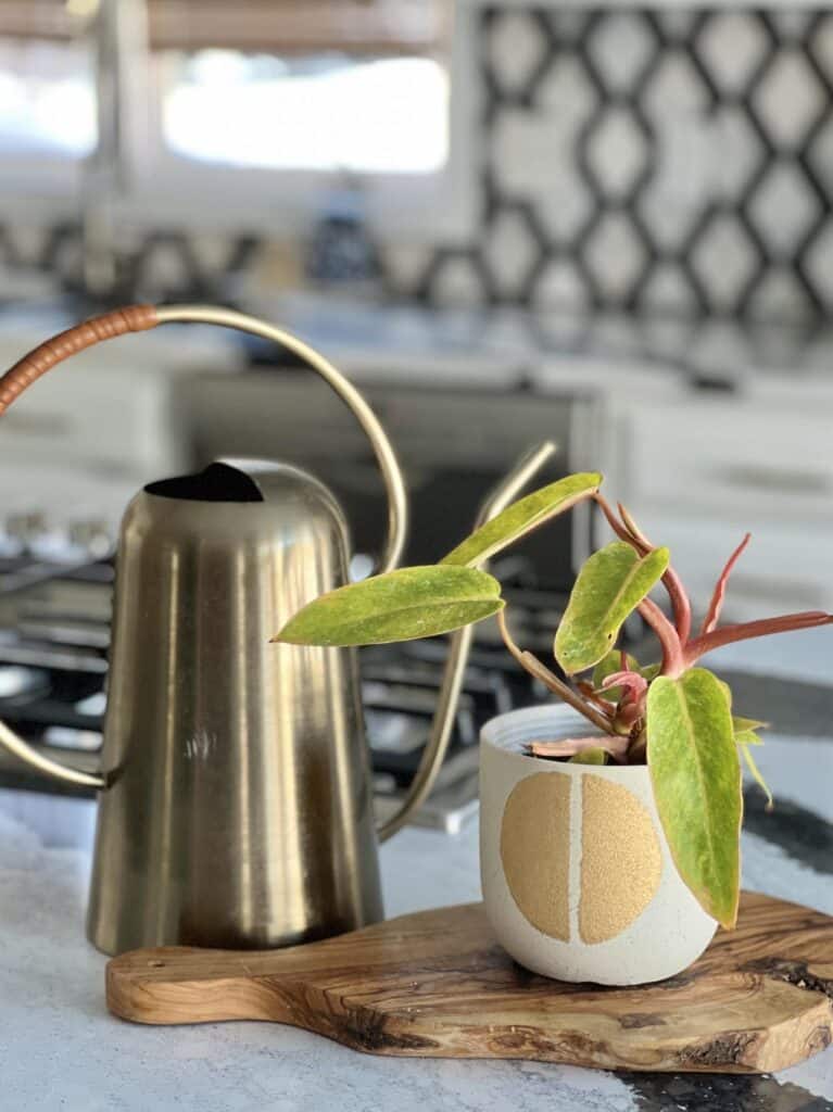 A watering can sitting beside a potted plant.