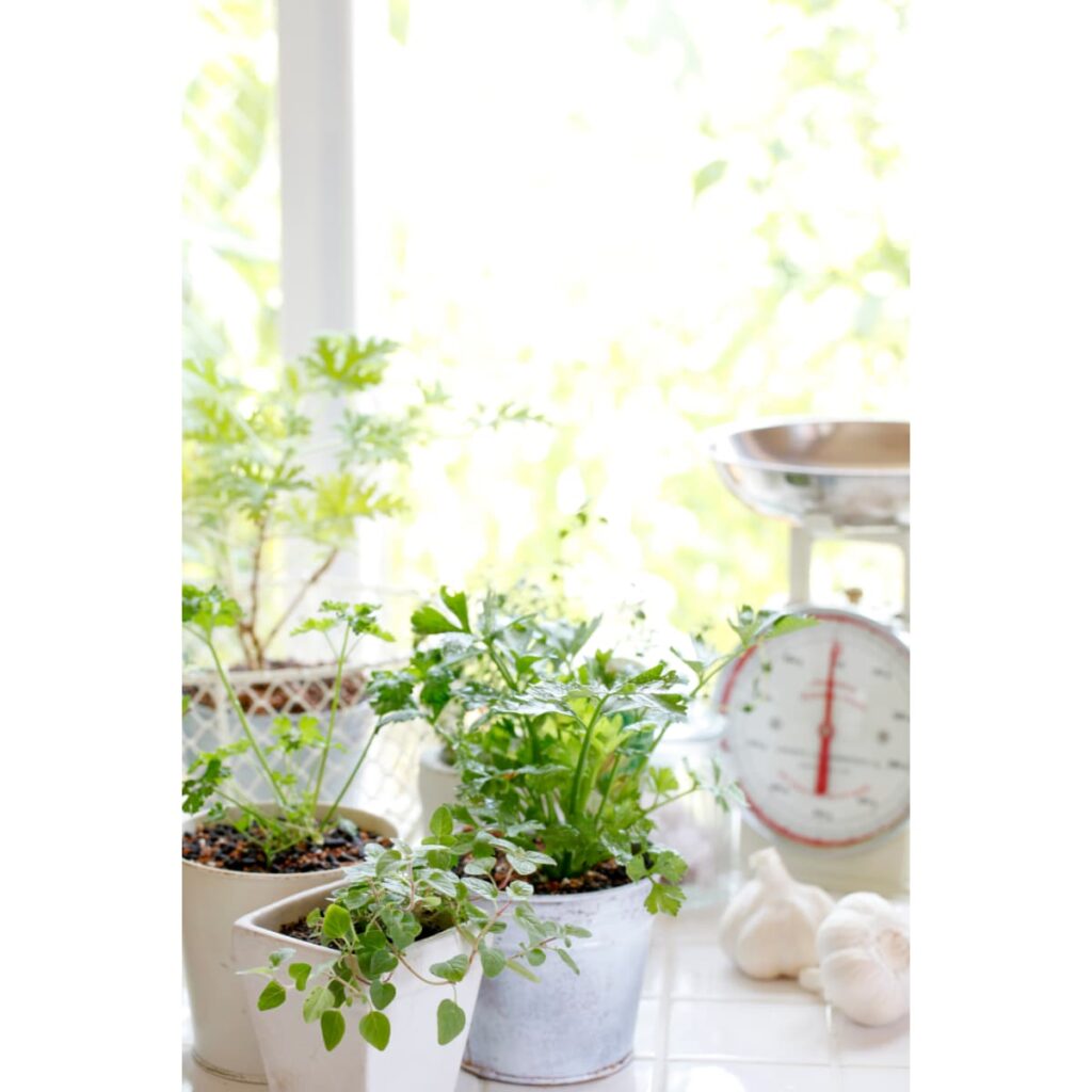 How to decorate a kitchen island with small jars of herbs.