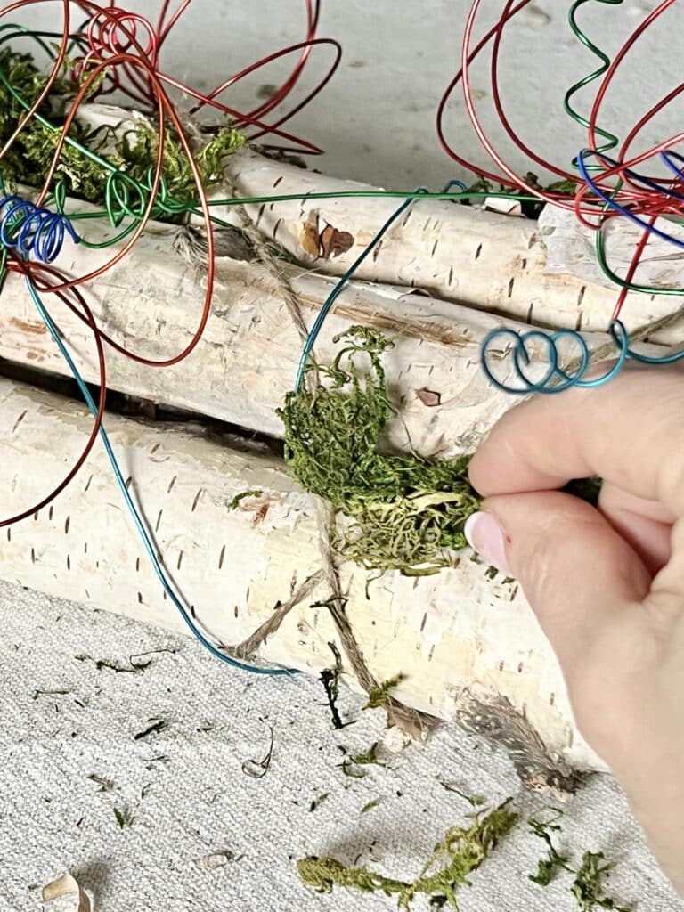 Tucking moss into the crevices of a bundle of birch logs.