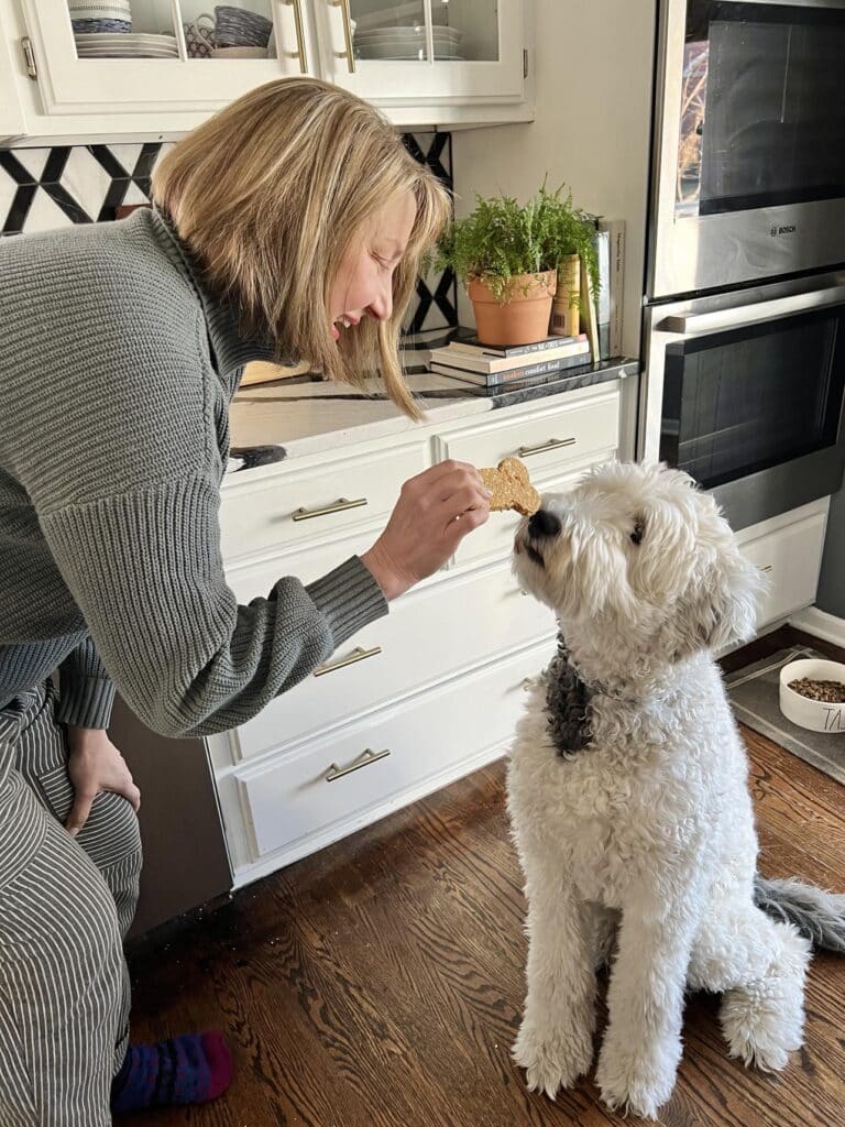 Bentley smelling a homemade oatmeal dog treat.