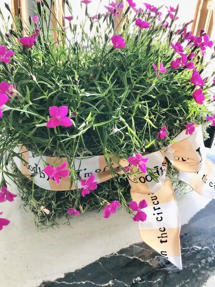 A May Day basket covered with moss and filled with dianthus flowers.