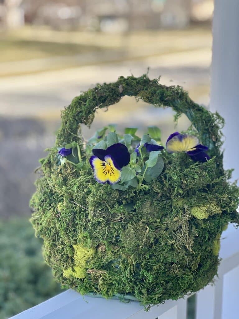 how to make a may day basket using a thrifted basket and pansy flowers.