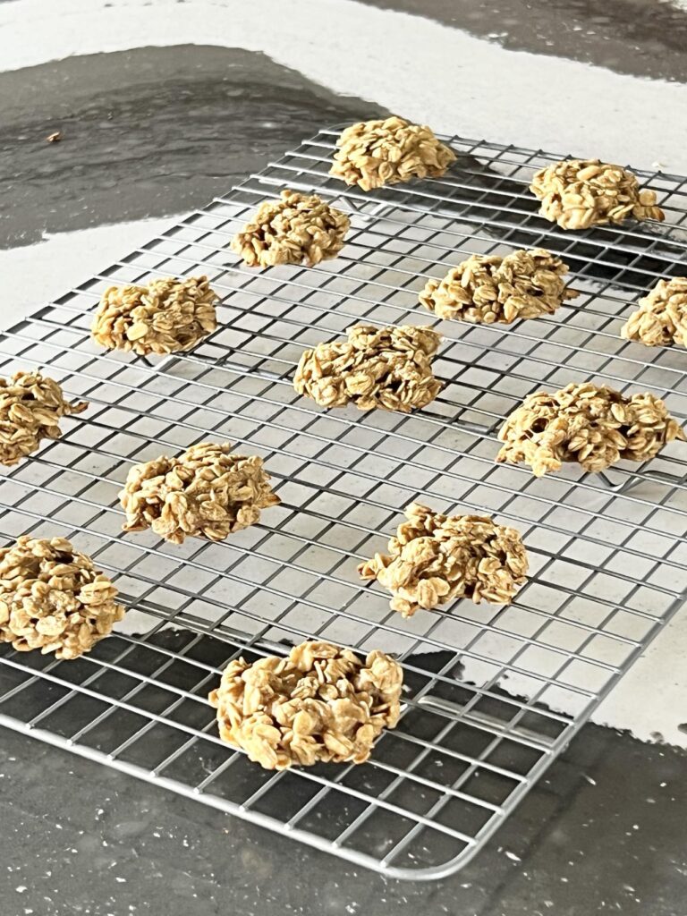 Homemade oatmeal dog treats on a cooking rack.