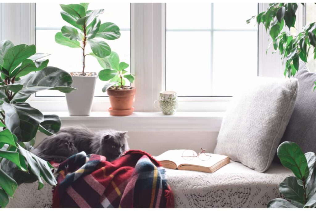 A window seat with plants used as a reading nook idea for a bedroom.