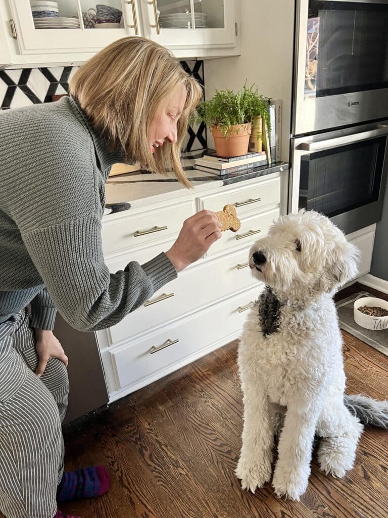 Missy showing Bentley a homemade oatmeal dog treat.
