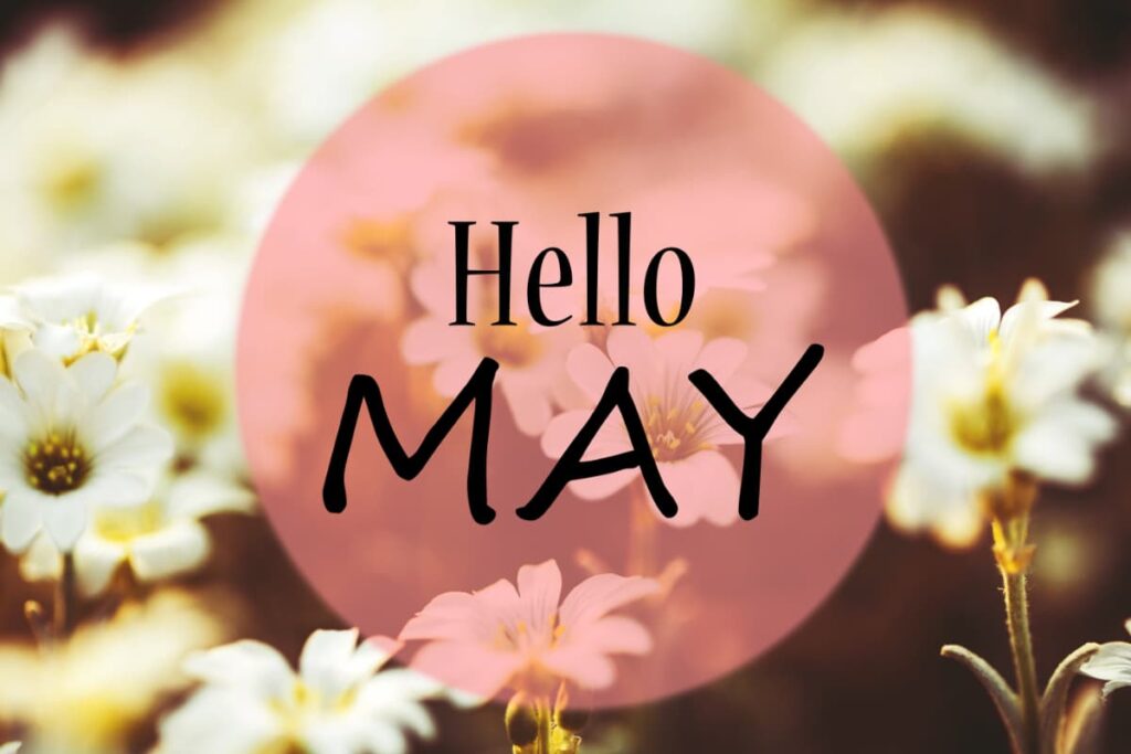 Flowers with a circle that say "Hello May"