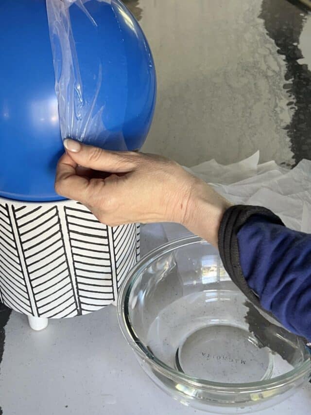 How to Make a DIY Pressed Flower Tissue Paper Lantern - Sonata Home Design