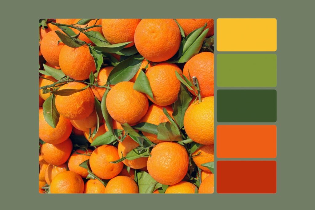 warm color palette for garden