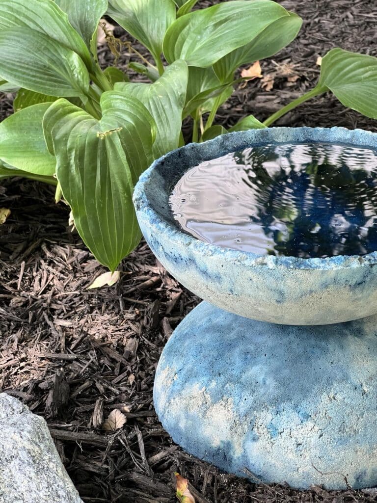 How to Make an Easy DIY Concrete Cement Bowl Planter
