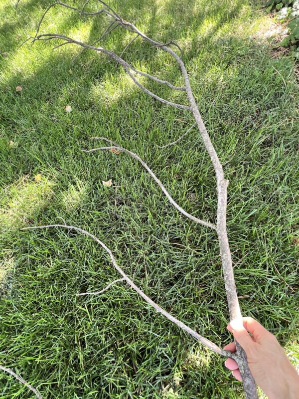 Simple and Easy DIY Tree Branch Decor Ideas for Fall - Sonata Home Design