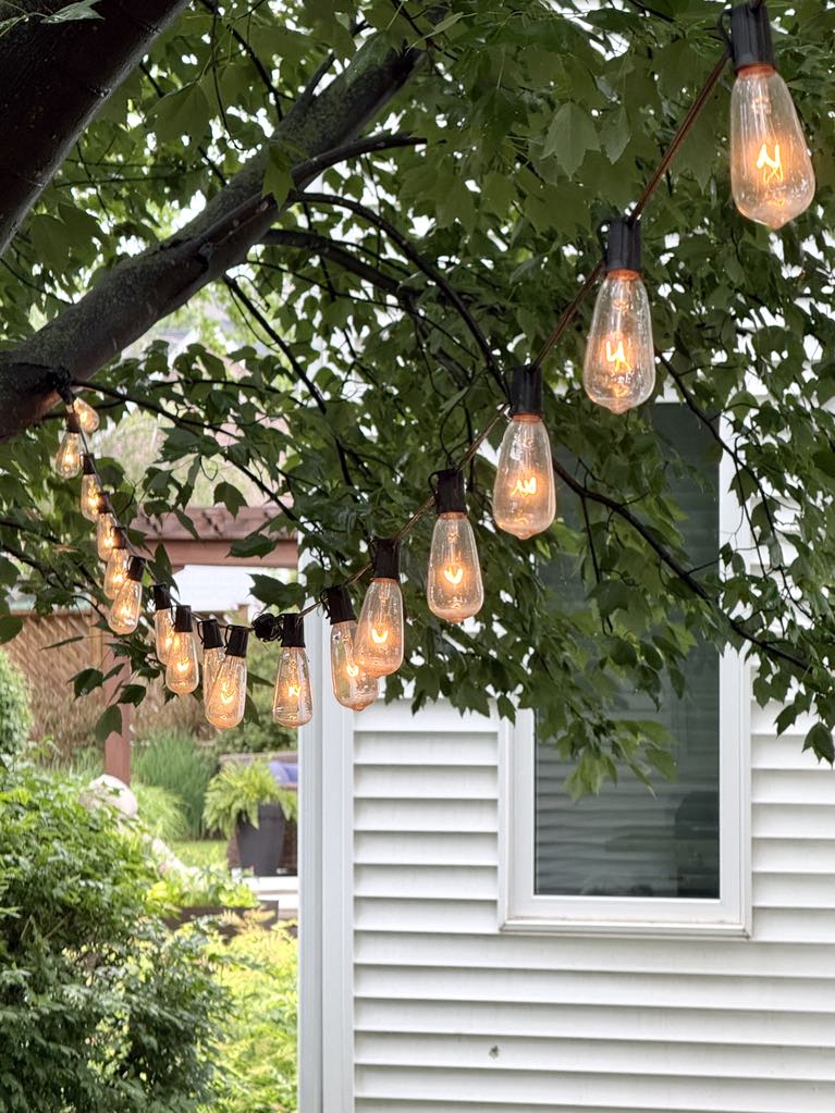 Summer decorating with outdoor cafe lights hanging from a tree.