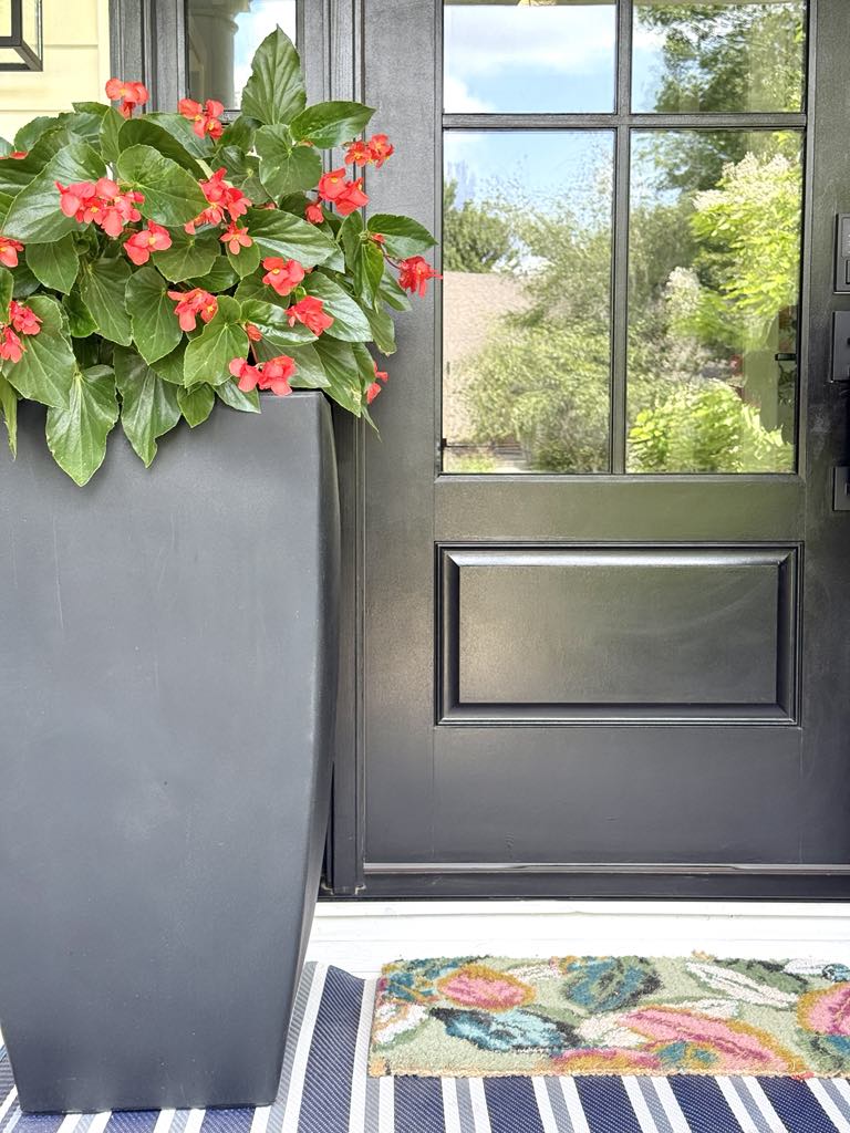 Glass-paned front porch door with large planter filled with dragonwing begonias. There is a colorful door mat in front of the door.