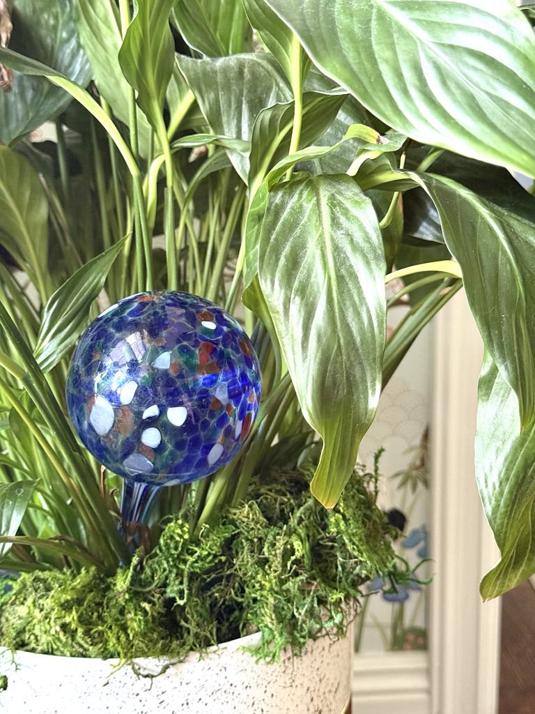 A blue water globe stuck into a green plant.