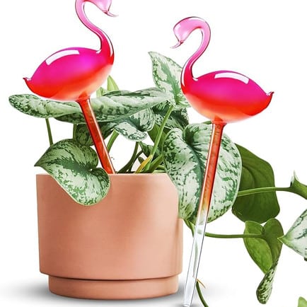 Pink flamingo water globes.
