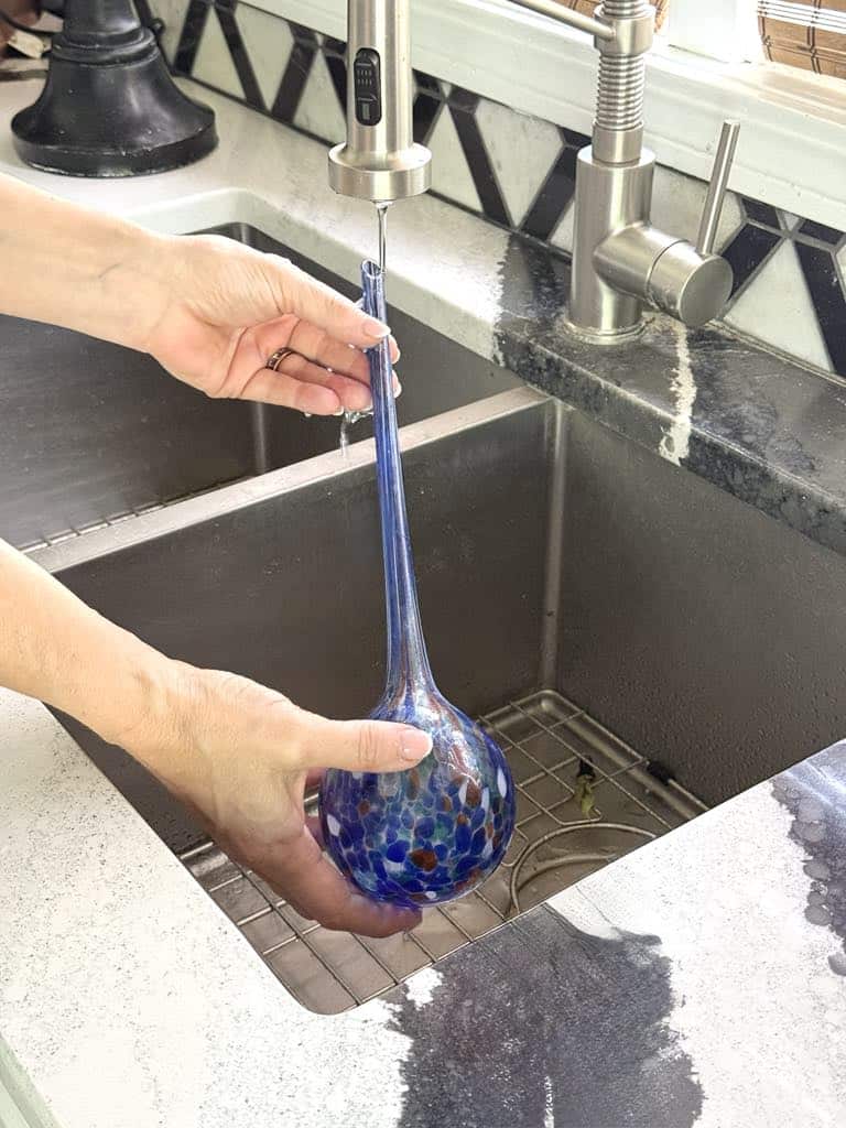 Filling a plant water globe with tap water.