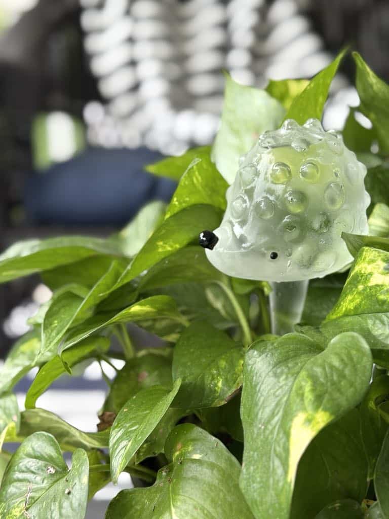Hedgehog shaped water globe stuck in a plant.
