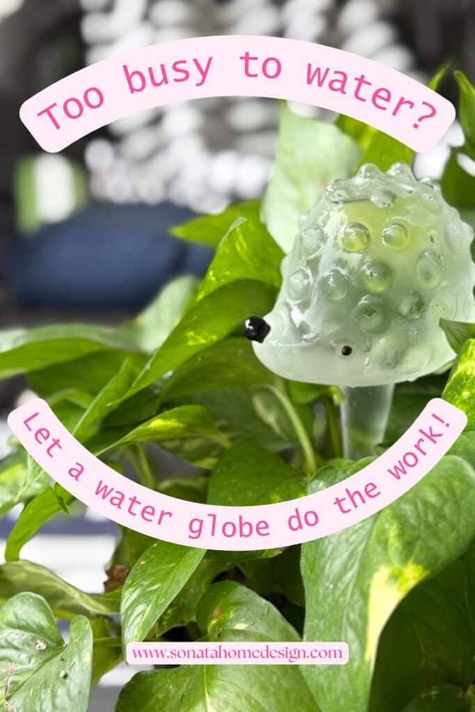Hedgehog water globe.