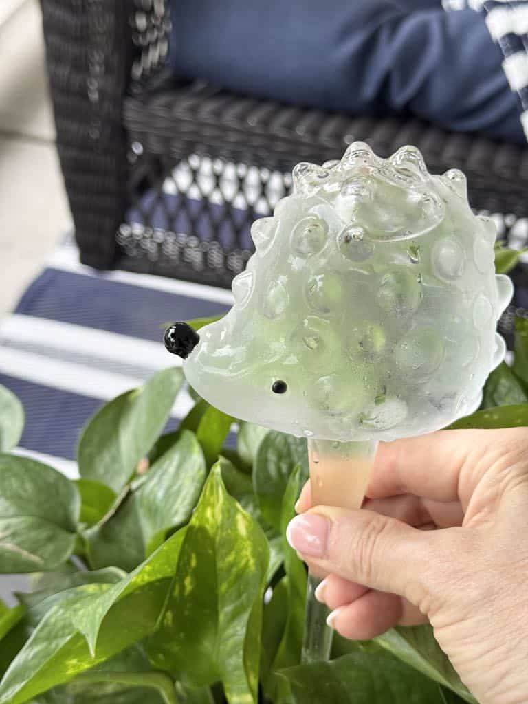 A hedgehog shaped water globe.