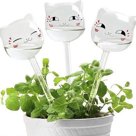 Cat shaped water globes for plants from Amazon.